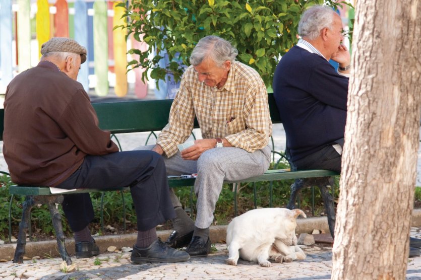 <p>Partie de cartes à l'ombre à Faro.</p>