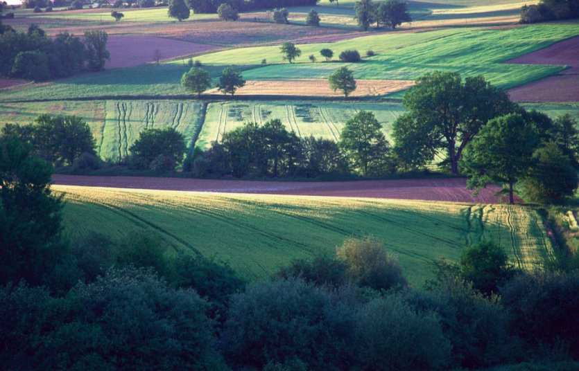 Campagne du Gers
