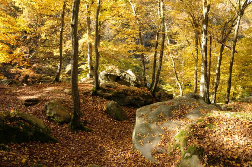 La Vallée de Chevreuse.