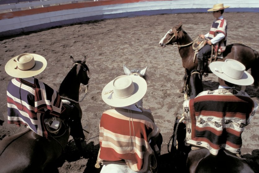 <p>Rodeo</p>