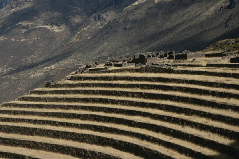 <p>Terrasses du site inca de Písaq.</p>