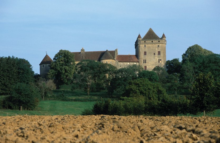 Château du Pin