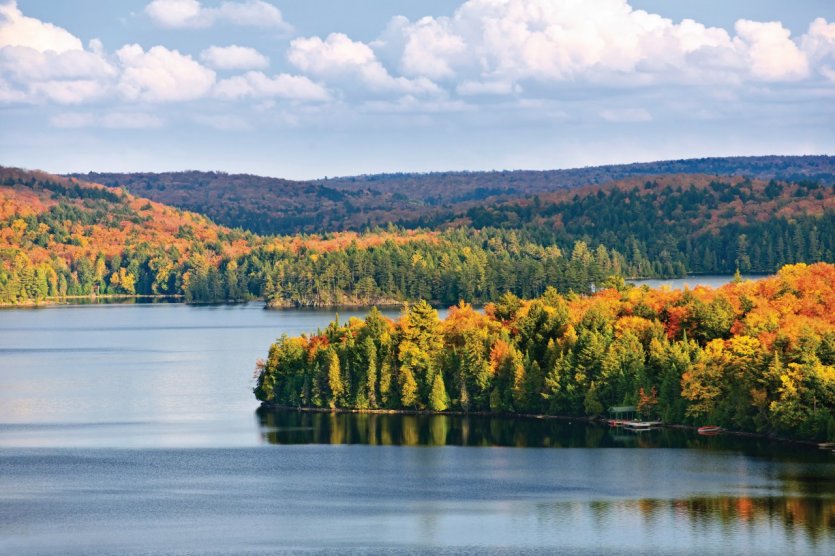 <p>Parc provincial Algonquin.</p>