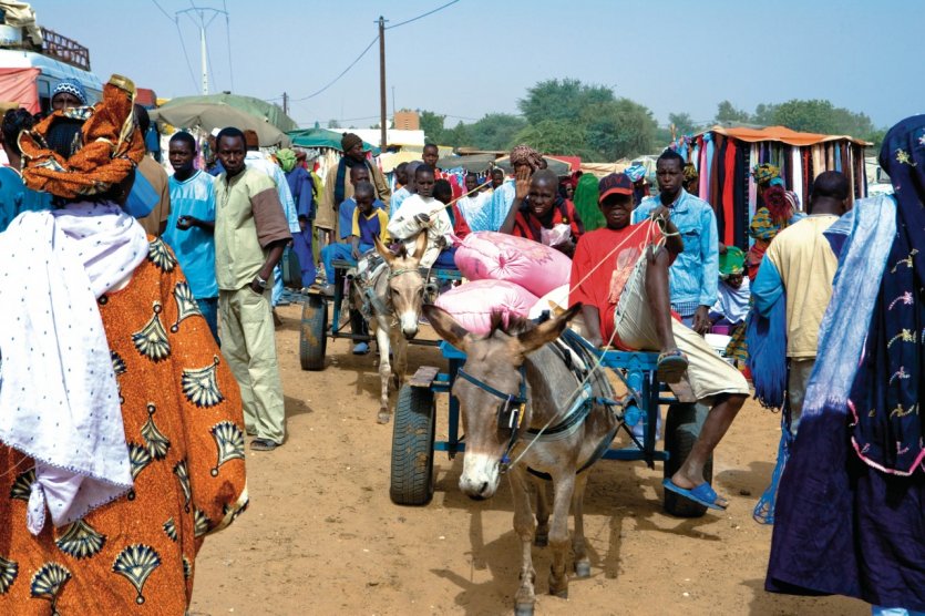 <p>Marché de Keur Momar Sarr.</p>