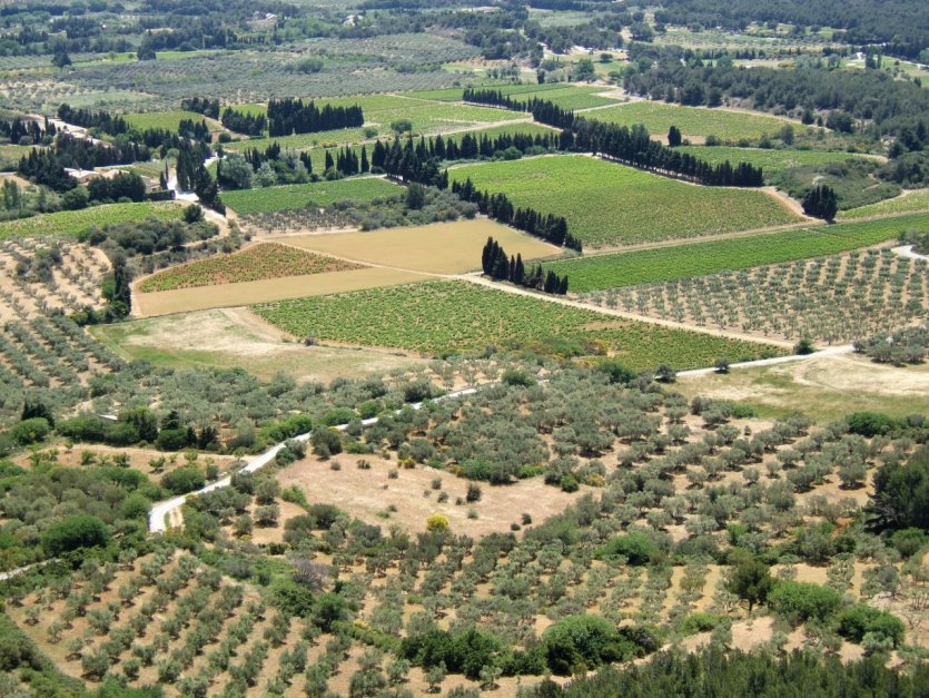 <p>La chaîne des Alpilles et ses champs d'oliviers près des Baux-de-Provence.</p>