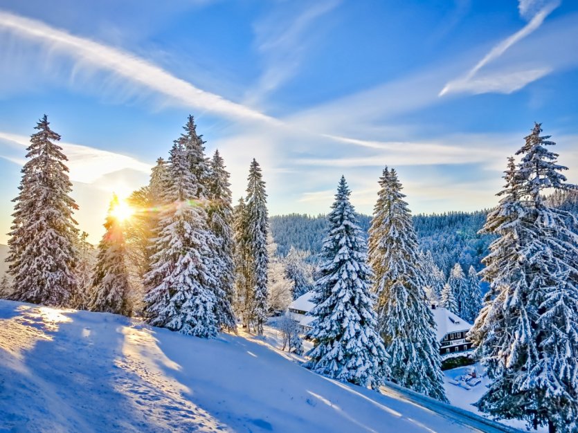 <p>Les massifs de la Forêt Noire en hiver.</p>