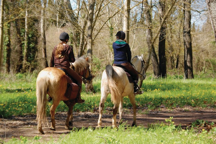 Balade à cheval.