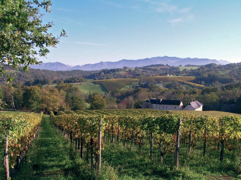 Le vignoble de Jurançon