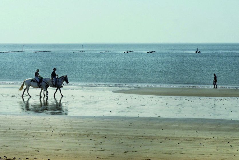 <p>Randonnée équestre à La-Faute-sur-Mer</p>