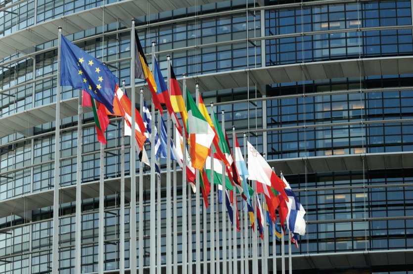 Drapeaux devant le Parlement européen.