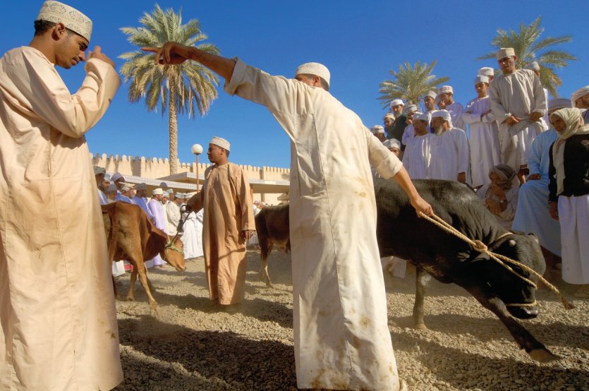 <p>Marché aux bestiaux de Nizwa.</p>