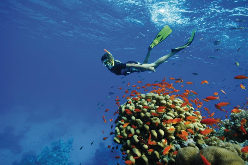 Le guide pratique Petit Futé TOUR DU MONDE : CHOISIR SON