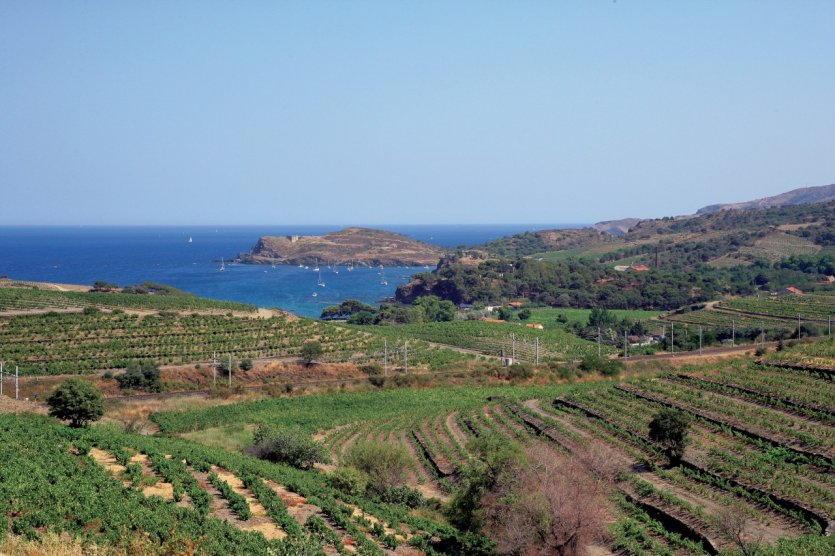 Sur la route des vins des Pyrénées-Orientales