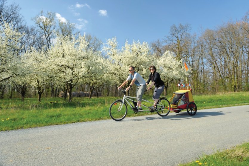 <p>La Loire à vélo.</p>