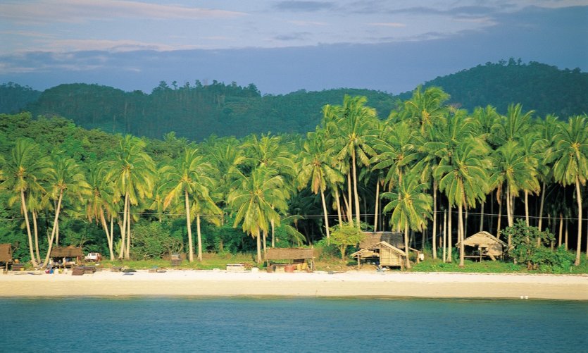 Littoral à Koh Phi Phi. Littoral à Koh Phi Phi.