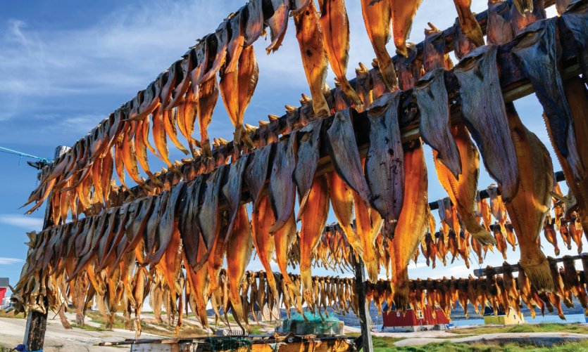 Les poissons sont séchés pour la conservation. Les poissons sont séchés pour la conservation.