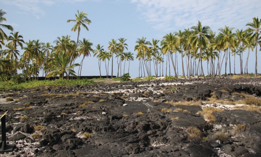 Pu'uhonua o Honaunau National Park. Pu'uhonua o Honaunau National Park.