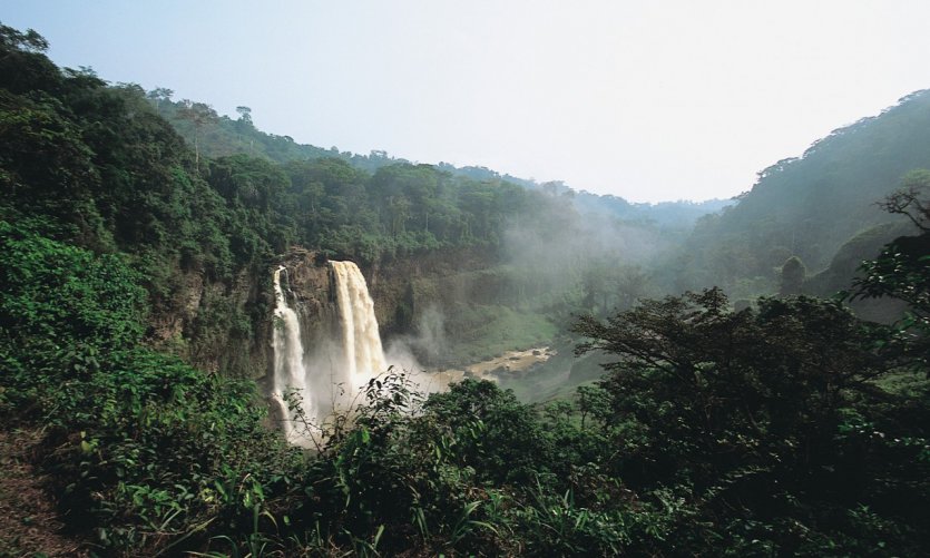 Les chutes d'Ekom Nkam. Les chutes d'Ekom Nkam.
