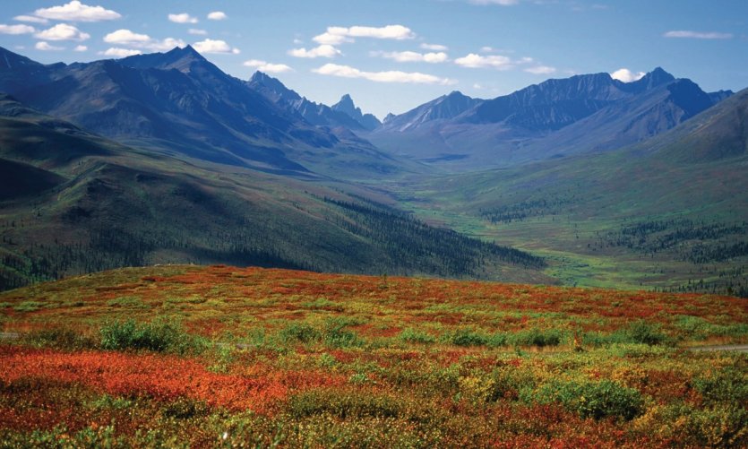 Monts Tombstone depuis Dempster Highway Monts Tombstone depuis Dempster Highway