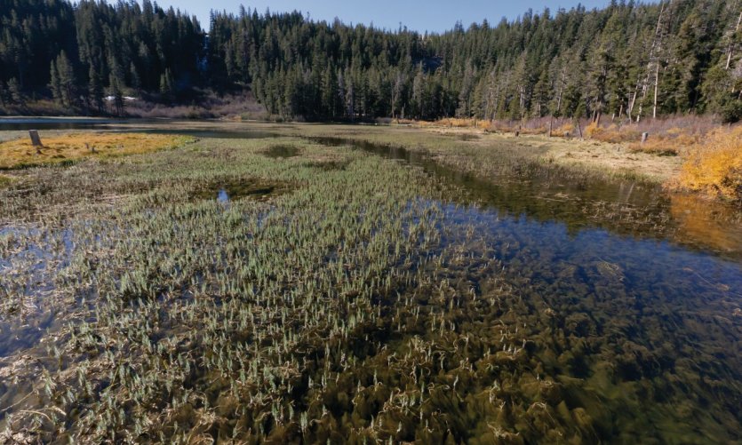 Mammoth Lakes. Mammoth Lakes.