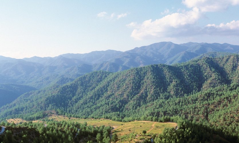 Forêt de Paphos et vallée de cèdres. Forêt de Paphos et vallée de cèdres.