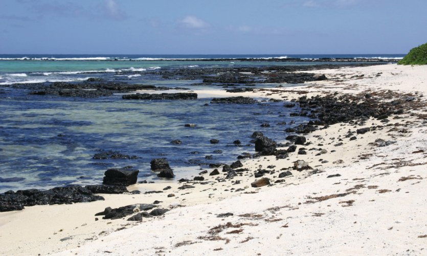 Plage sauvage. Plage sauvage.