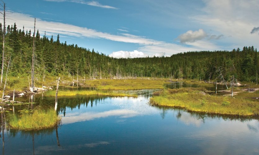 Lac au parc national du Fjord-du-Saguenay. Lac au parc national du Fjord-du-Saguenay.