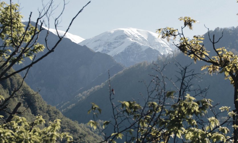 <p>Paisaje de Kish.</p> <p>Paisaje de Kish.</p>