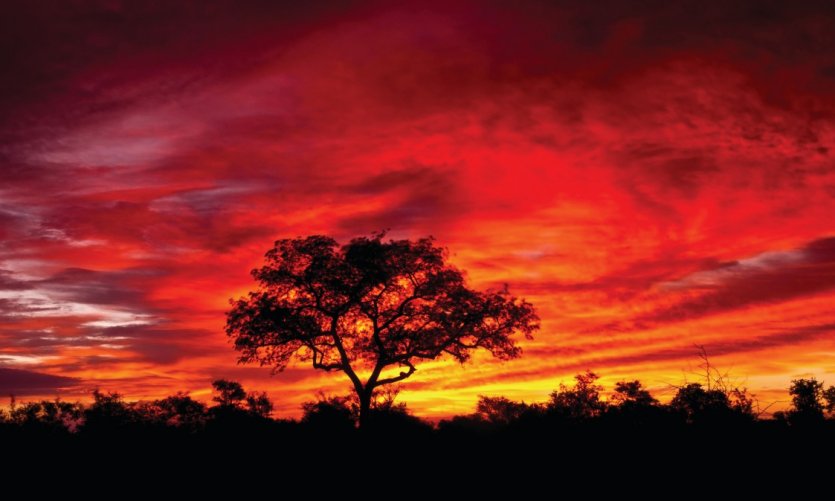 Coucher de soleil dans le Parc Kruger. Coucher de soleil dans le Parc Kruger.