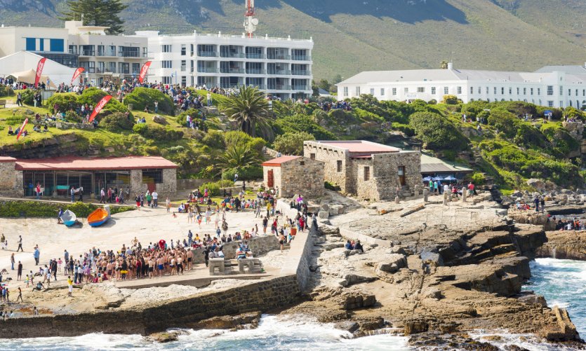 Hermanus whale festival. Hermanus whale festival.