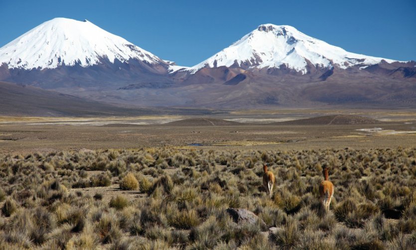 <p>Les volcans Parinacota et Pomerape, vus depuis le village de Sajama.</p> <p>Les volcans Parinacota et Pomerape, vus depuis le village de Sajama.</p>