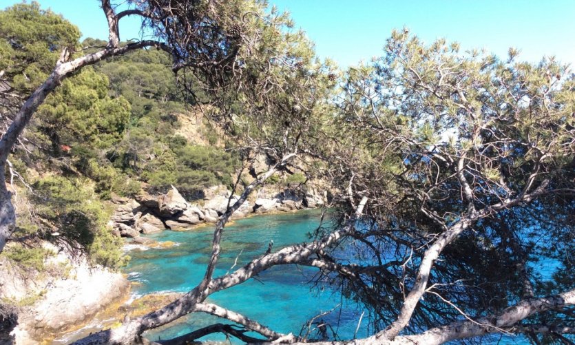 Le RayolCanadelsurMer Guide, actualité, adresses, avis Petit Futé Le RayolCanadelsurMer Guide, actualité, adresses, avis Petit Futé