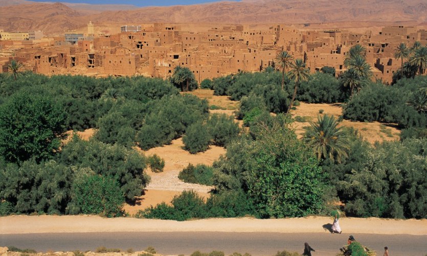 Bourgade de Tinghir. Bourgade de Tinghir.