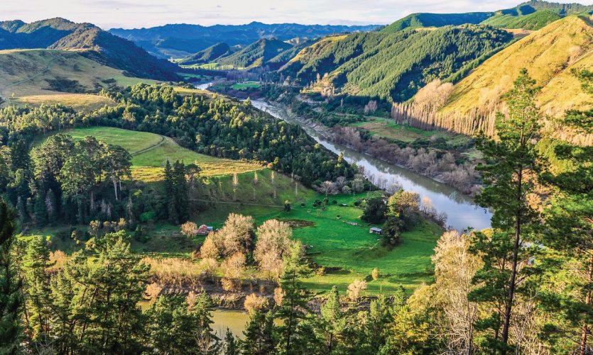 Whanganui National Park. Whanganui National Park.