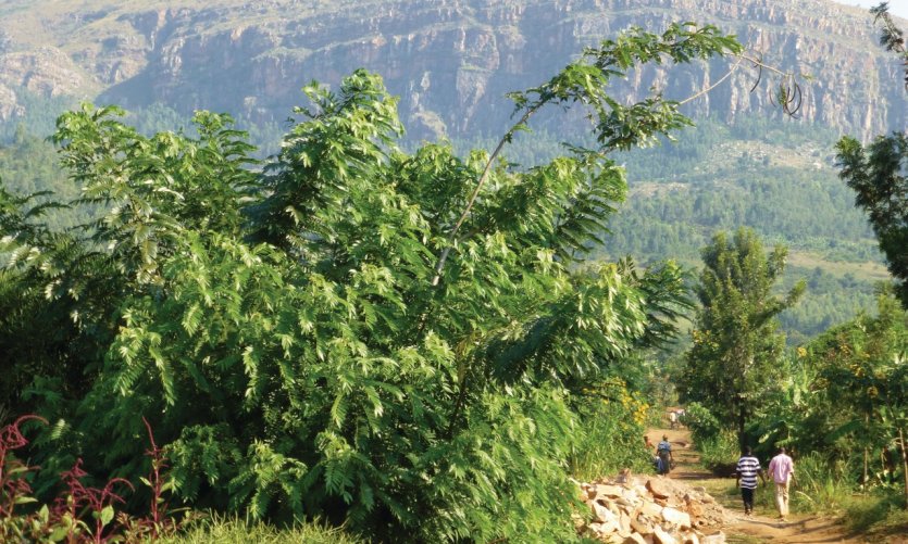 <p>Landscape in the Eastern Province.</p> <p>Landscape in the Eastern Province.</p>