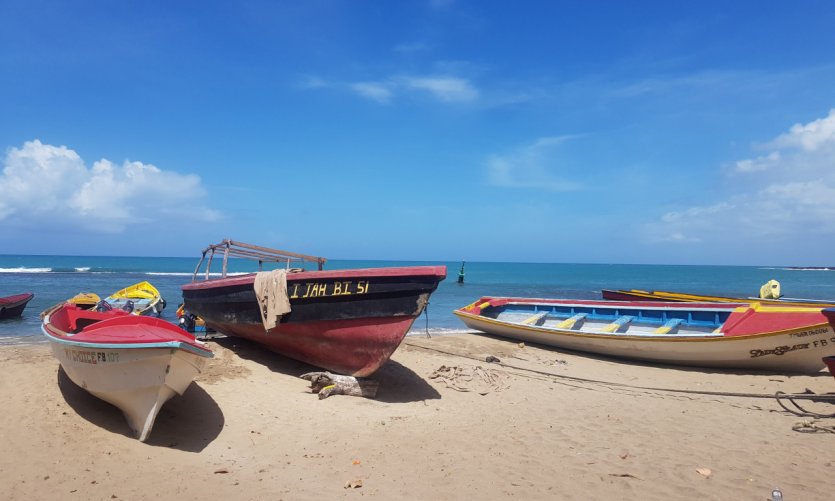 <p>L'authenticité de Treasure Beach.</p> <p>L'authenticité de Treasure Beach.</p>