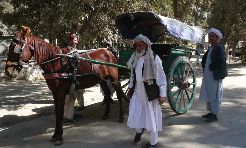 Carriole à cheval, le taxi de Balkh. Carriole à cheval, le taxi de Balkh.