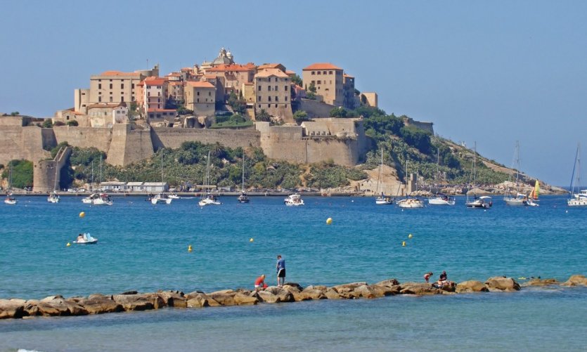calvi