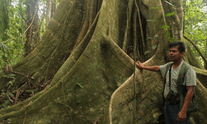 En el parque de Madidi, las comunidades locales se benefician del auge del turismo ecológico. En el parque de Madidi, las comunidades locales se benefician del auge del turismo ecológico.