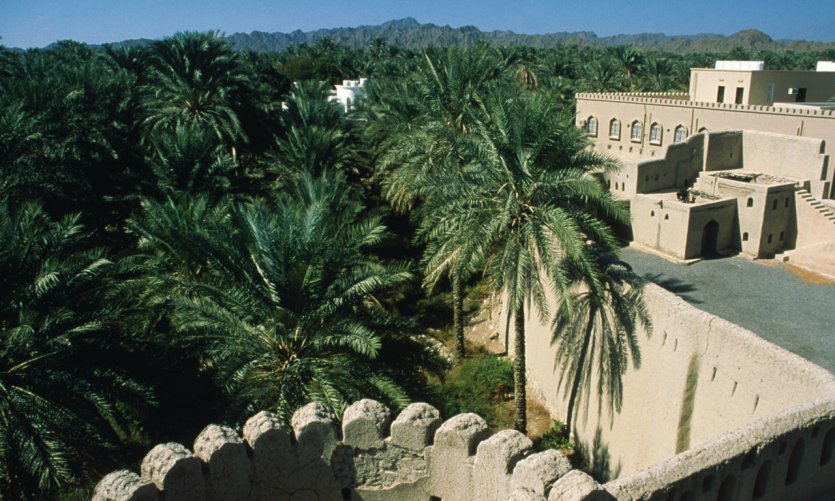 Vieille ville de Nizwa. Vieille ville de Nizwa.