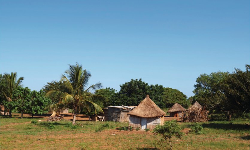 Huttes traditionnelles de Vilankulo. Huttes traditionnelles de Vilankulo.