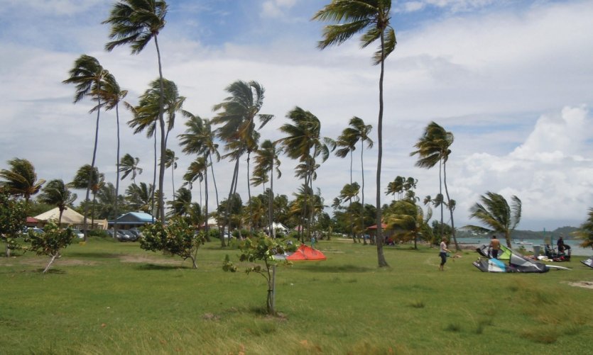 <p>Pointe Faula</p> <p>Pointe Faula</p>