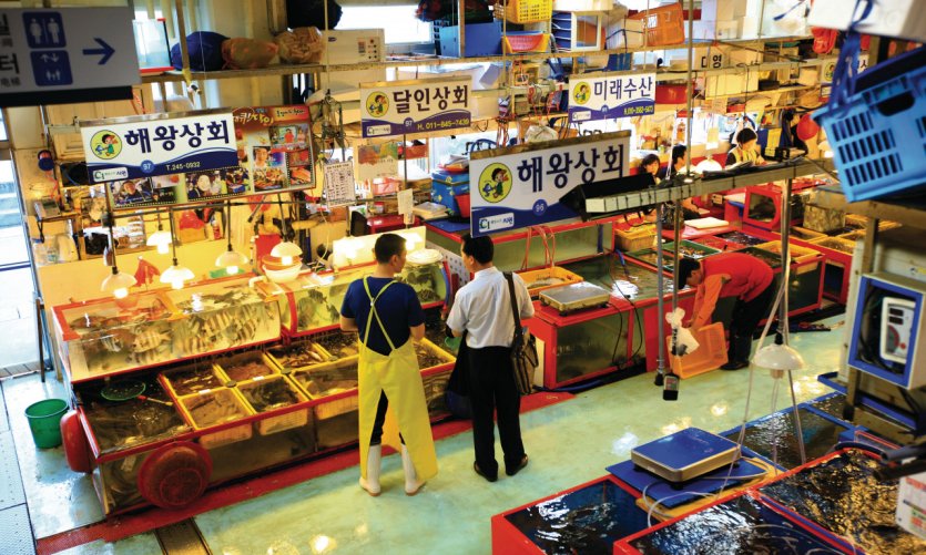 Jagalchi fish market. Jagalchi fish market.