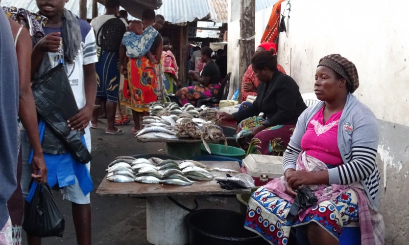 Mercado central, Vilankulo. Mercado central, Vilankulo.