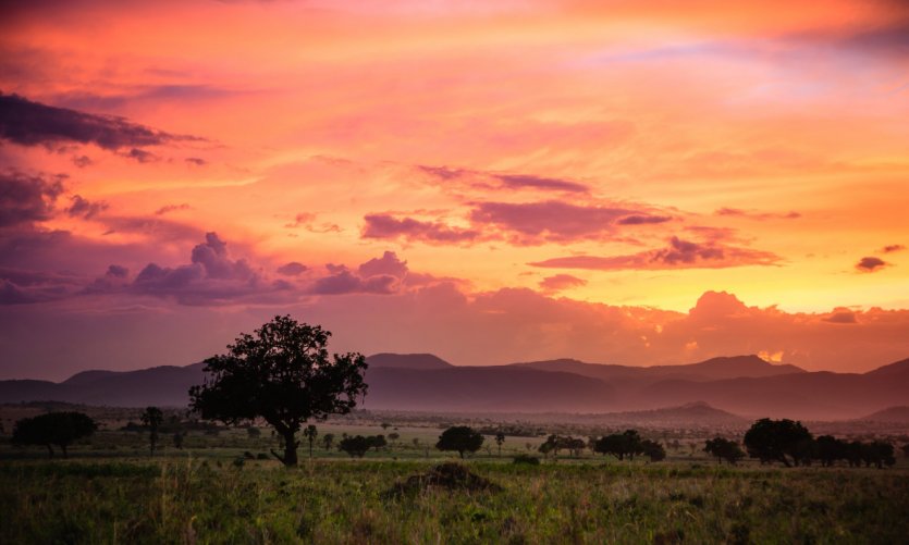 Kidepo Valley National Park. Kidepo Valley National Park.
