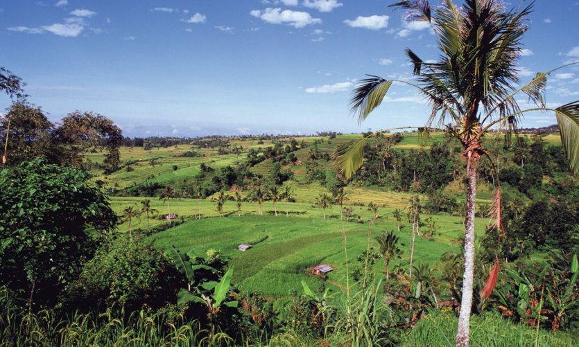 Jatiluwih, village situé à proximité du mont Batukau. Jatiluwih, village situé à proximité du mont Batukau.