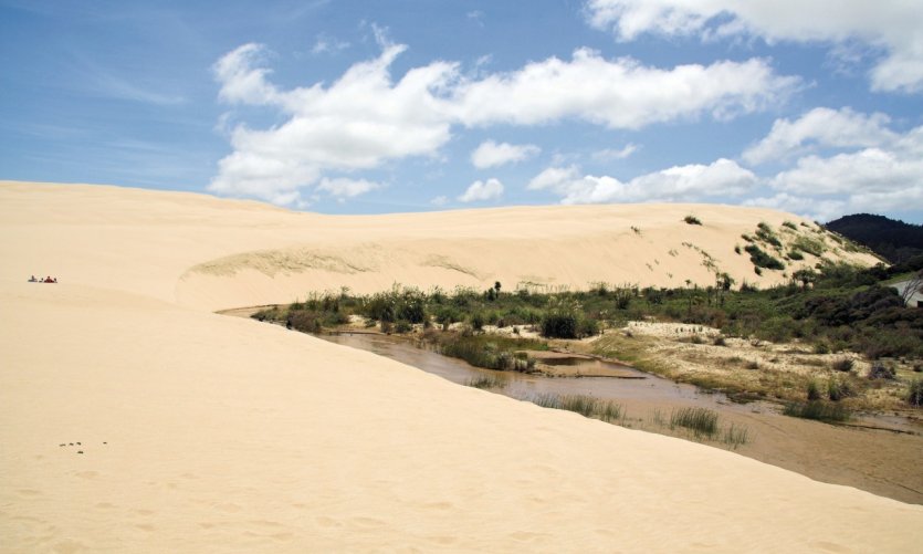 Te Paki Giant Sand Dunes. Te Paki Giant Sand Dunes.