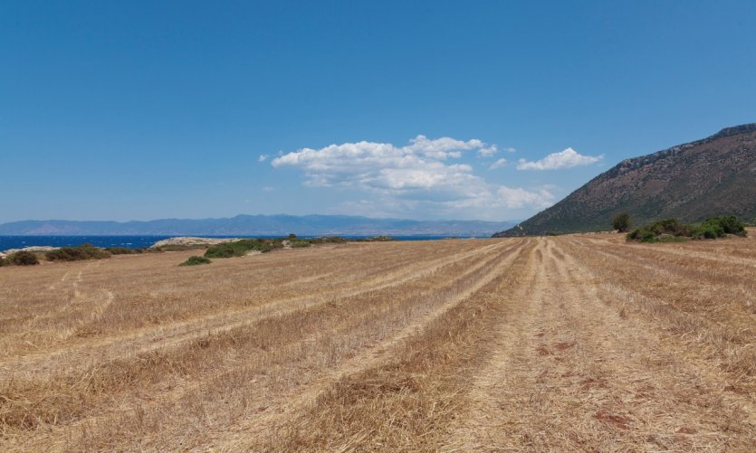 Cap Akamas. Cap Akamas.