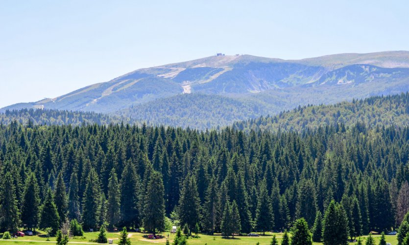 <p>Monts Igman y Bjelašnica.</p> <p>Monts Igman y Bjelašnica.</p>