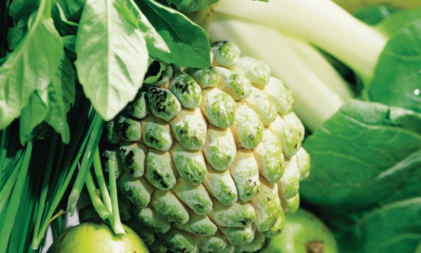 <p>Various fruits and vegetables are found in the Kingston market.</p> <p>Various fruits and vegetables are found in the Kingston market.</p>